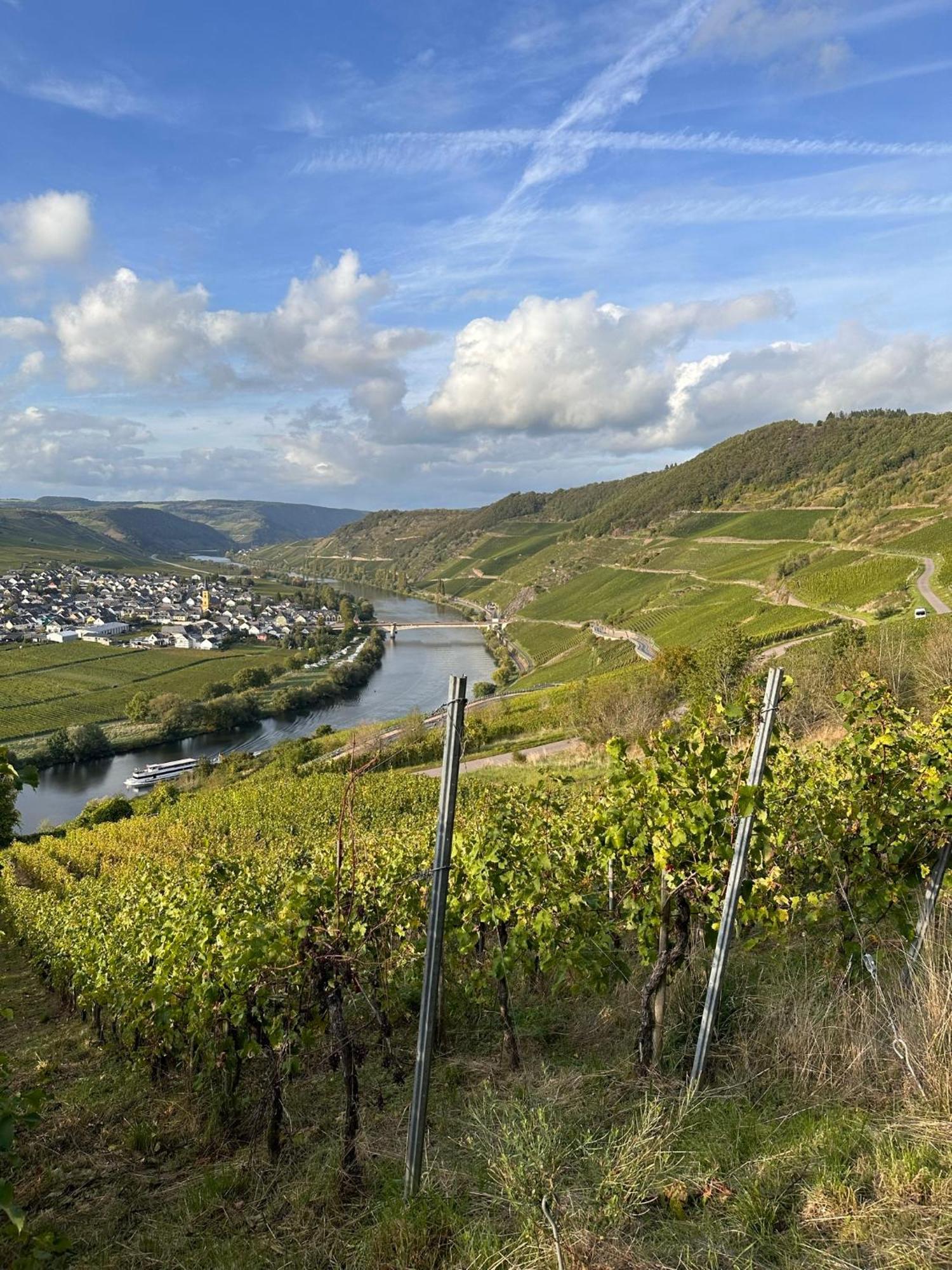 Hotel Krone Riesling Trittenheim Dış mekan fotoğraf